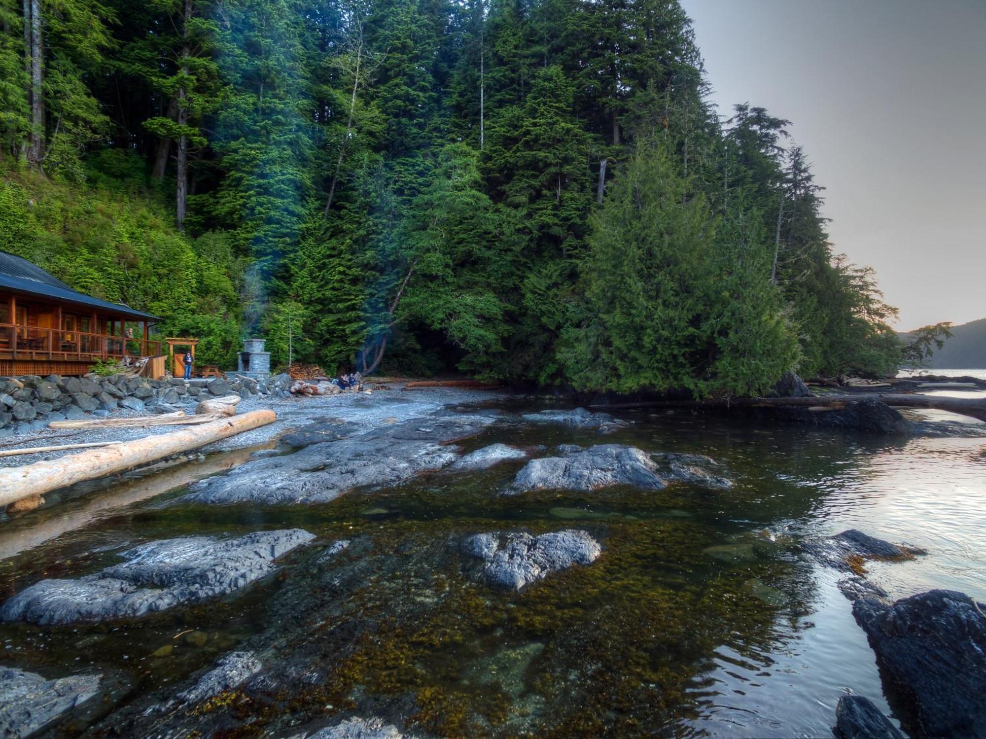Wild Renfrew Seaside Cottages Port Renfrew Rom bilde