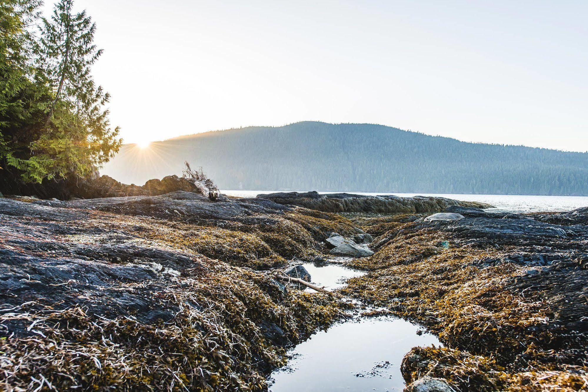 Wild Renfrew Seaside Cottages Port Renfrew Eksteriør bilde