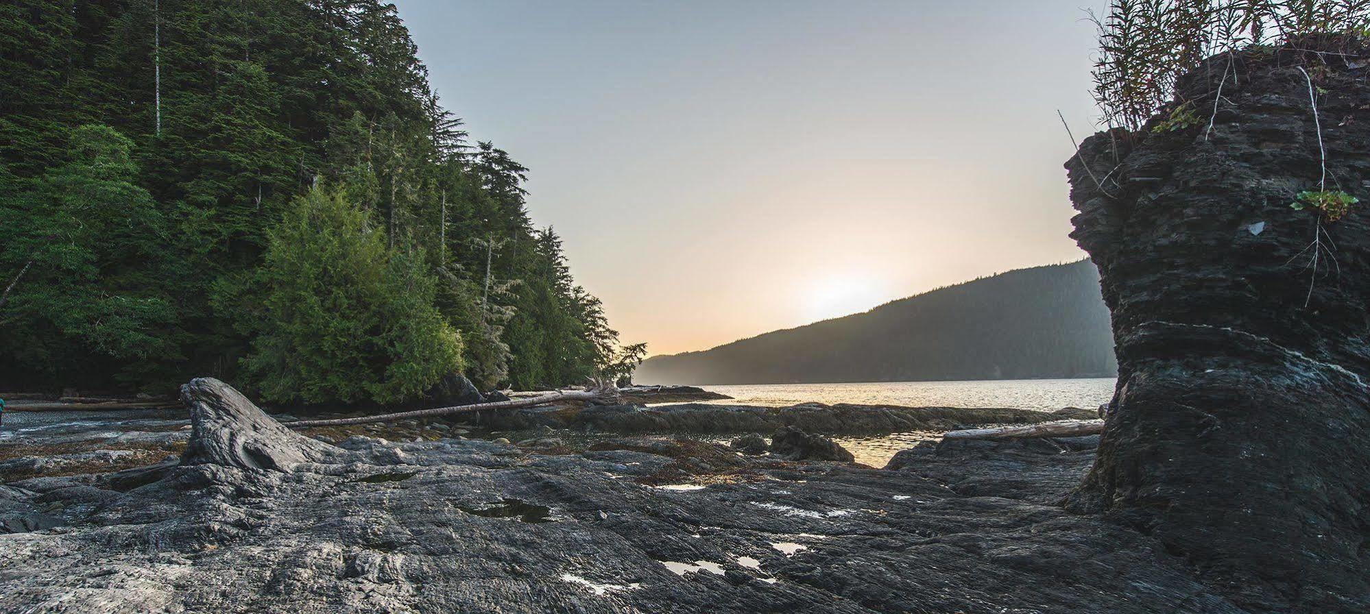 Wild Renfrew Seaside Cottages Port Renfrew Eksteriør bilde